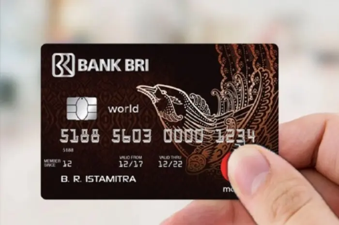 Types of BRI Credit Cards that You Need to Know